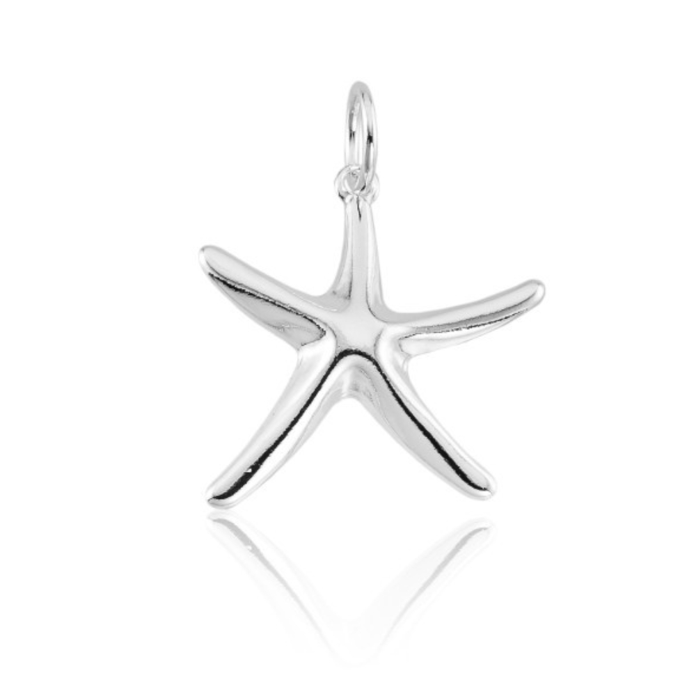 pingente-de-prata-estrela-do-mar Pingente de prata 925 estrela do mar - Imagem 1