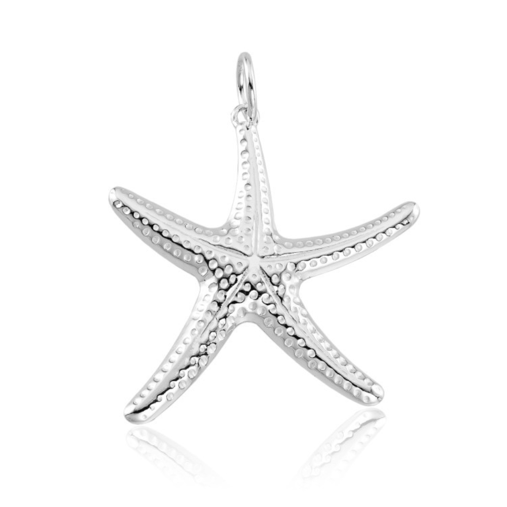 pingente-de-prata-estrela-dor-mar-trabalhado-medio Pingente de prata 925 estrela do mar trabalhado médio - Imagem 1