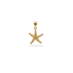Pingente estrela do mar texturizado banhado a ouro 18k