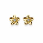 Brinco flor 5 pétalas lisas miolo zircônia banhado a ouro 18k